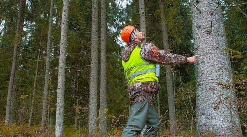 2021 Orman Genel Müdürlüğü (OGM) işçi alımı başvurusu nasıl yapılır? İŞKUR OGM işçi alımı başvuru 2021 ekranı...