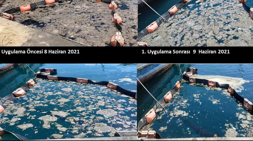 İstanbul Üniversitesi geliştirdi! Deniz salyasıyla (müsilaj) mücadelede yeni yöntem, 5 günde yok oldu