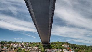 50 milyon dolara kadar fiyatı çıkabiliyor! 40 aile sıraya girdi