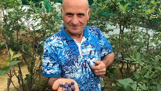 Trabzon'da ek gelir olarak ekti yıllık kazancı dudak uçuklattı!