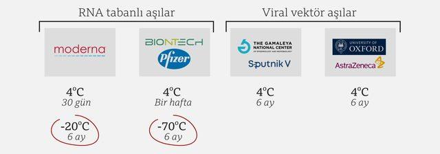 Covid-19 aşıları: BioNTech, Sputnik ve CoronaVac ın farklı ne, aşılar hangi y&ouml;ntemlerle &uuml;retiliyor? 3