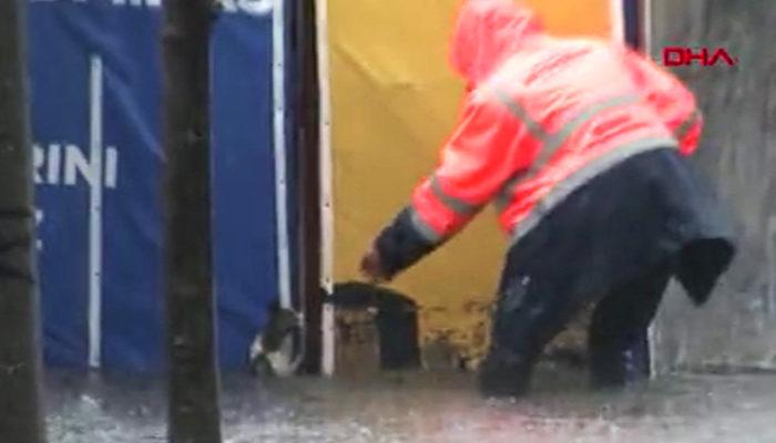 İstanbul'daki yağış sonrası alt geçitte mahsur kalan kediyi belediye görevlisi kurtardı
