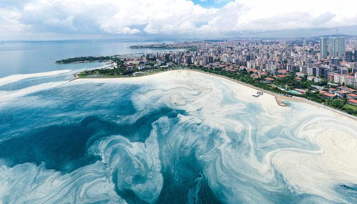 Caddebostan Sahili'nde müsilaj (deniz salyası) yoğunluğu arttı