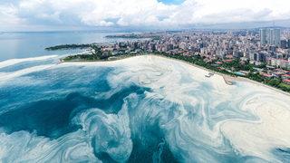 Caddebostan Sahili'nde müsilaj (deniz salyası) yoğunluğu arttı