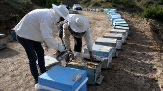 Yeni uygulama: Hobi kovanı!