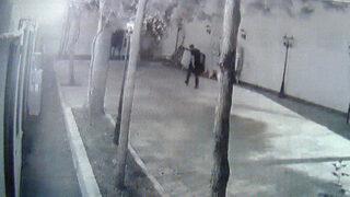 Çalacak bir şey bulamadı, bahçedeki bıldırcınları çaldı