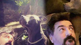 Celil Nalçakan: Kapıma not asacağınıza zile bassaydınız!