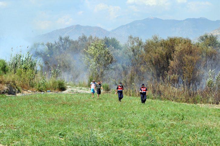 Muğla'da narenciye bahçesinde çıkan yangın söndürüldü G1