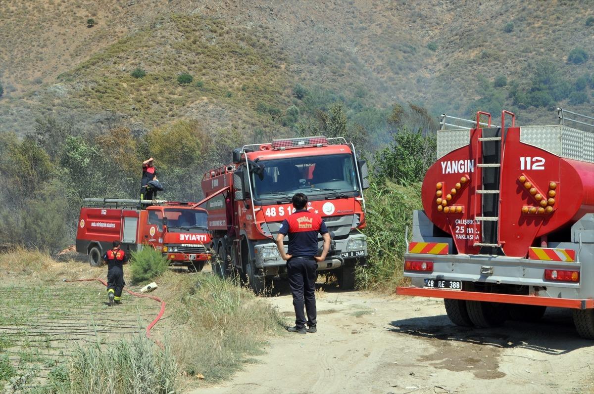 Muğla'da narenciye bah&ccedil;esinde &ccedil;ıkan yangın s&ouml;nd&uuml;r&uuml;ld&uuml;