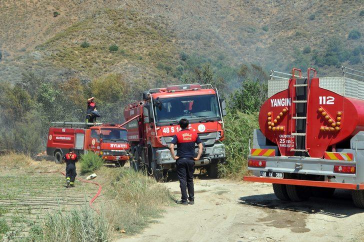 Muğla'da narenciye bahçesinde çıkan yangın söndürüldü G3