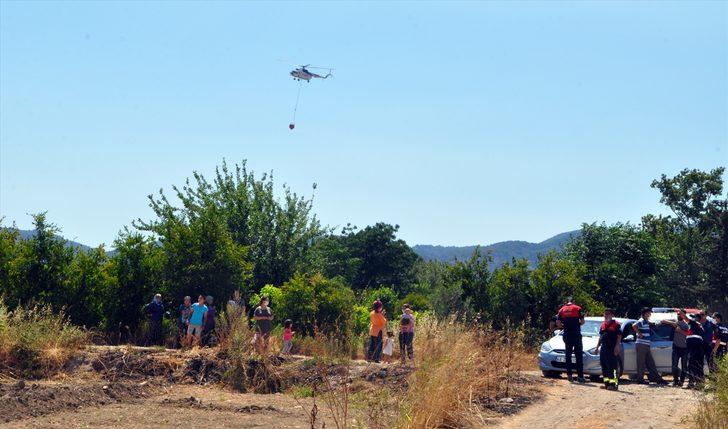 Muğla'da narenciye bahçesinde çıkan yangın söndürüldü G5
