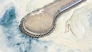 Son dakika! Bakan Kurum’dan müsilaj açıklaması