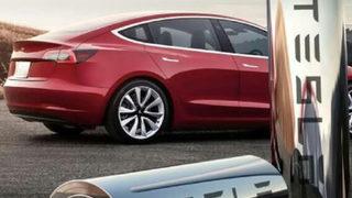 Almanya’daki Tesla fabrikası çevrecilerin hedefinde