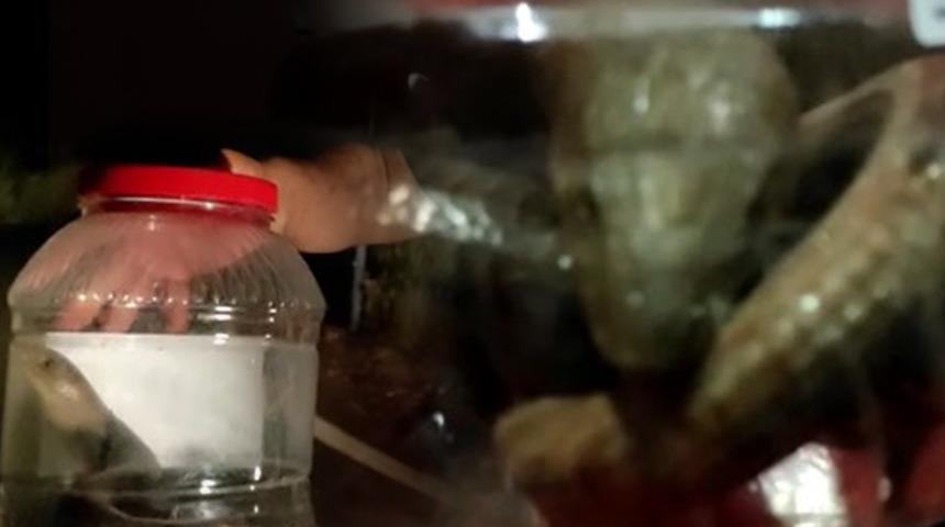 Paniğe kapıldı, itfaiyeye haber verdi! Gerçek bakın ne çıktı