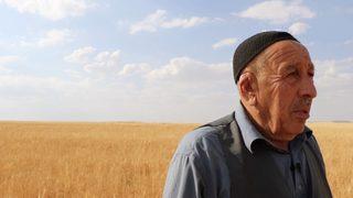 Güneydoğu’da kuraklık nedeniyle tarım alanları büyük zarar gördü: Tarlamızın beyin ölümü gerçekleşti