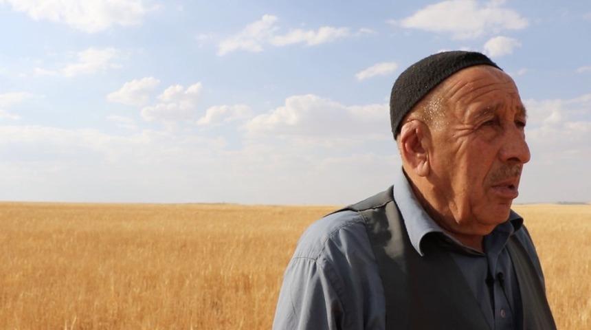 Güneydoğu’da kuraklık nedeniyle tarım alanları büyük zarar gördü: Tarlamızın beyin ölümü gerçekleşti