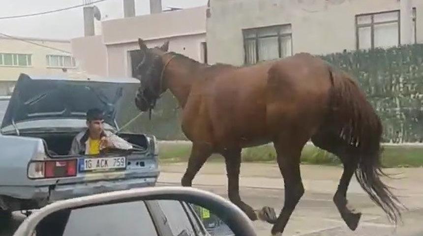 Bursa’da aracın arkasına at bağlayıp çevre yolunda koşturdu