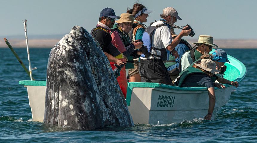 Herkes başka yerde arıyordu! Bir anda yüzeye fırlayınca...
