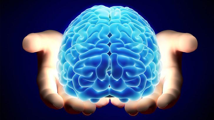 Beynin en önemli gıdası ortaya çıktı! İşte o gıda ve beyne faydaları G2