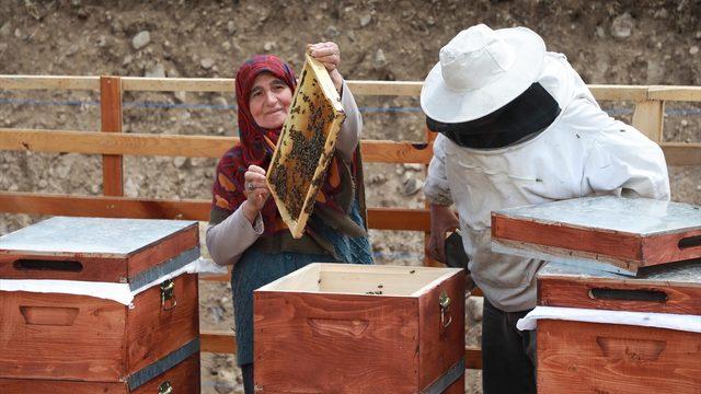 2300-3000 rakımda bulunan yaylada Anzer Balı mesaisi başladı