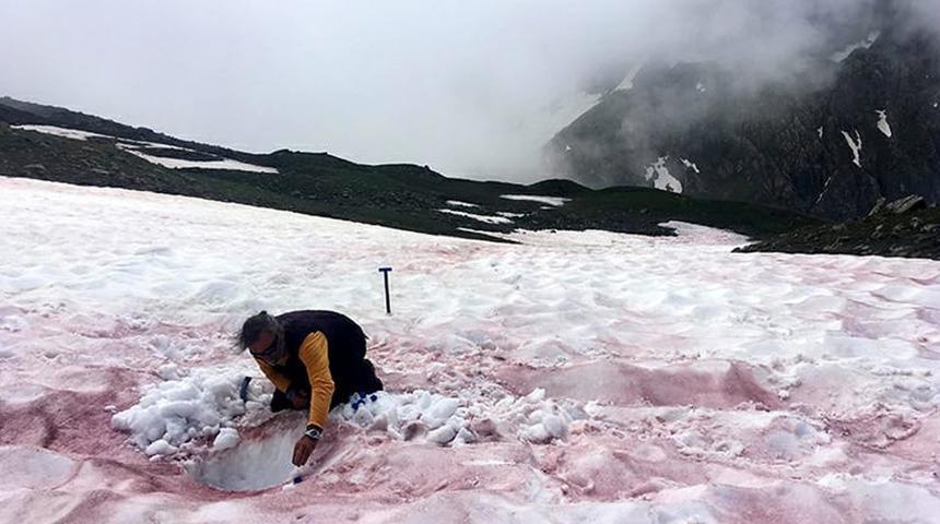 İnanılmaz görüntüler! Kırmızı kar, bilim insanlarını harekete geçirdi