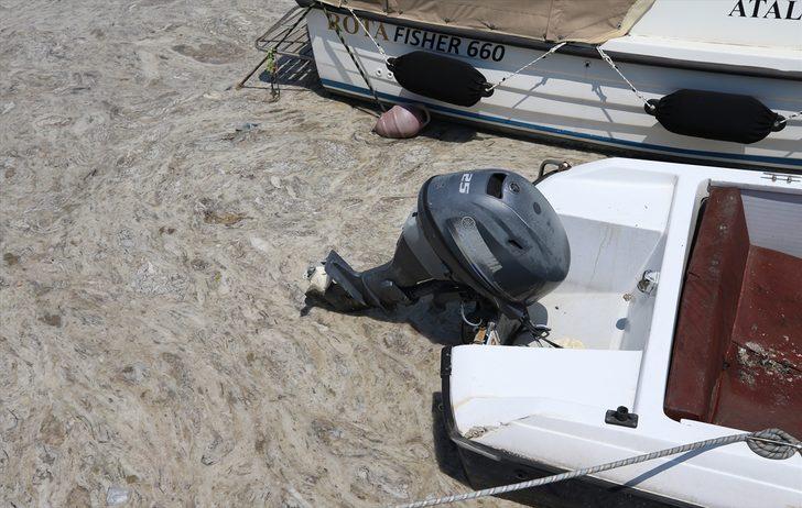 Çanakkale Boğazı'nın Ege çıkışında da gözlemlenen müsilaj küçük tekneleri tehdit ediyor G1