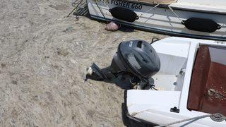 Çanakkale Boğazı'nın Ege çıkışında da gözlemlenen müsilaj küçük tekneleri tehdit ediyor