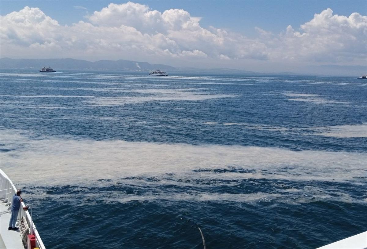 İzmit K&ouml;rfezi'nde m&uuml;silaj etkisini s&uuml;rd&uuml;r&uuml;yor