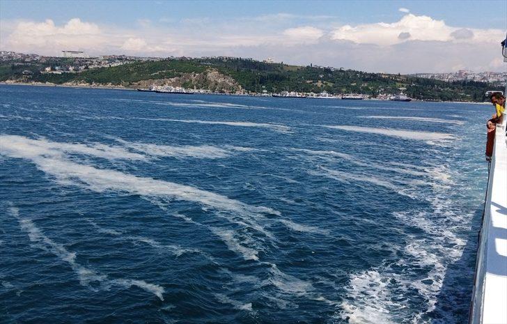 İzmit Körfezi'nde müsilaj etkisini sürdürüyor G2