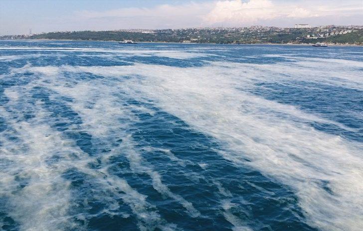 İzmit Körfezi'nde müsilaj etkisini sürdürüyor G3