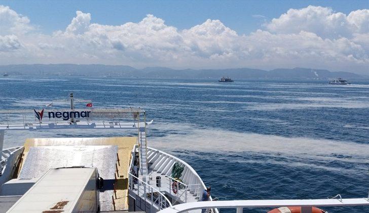 İzmit Körfezi'nde müsilaj etkisini sürdürüyor G4