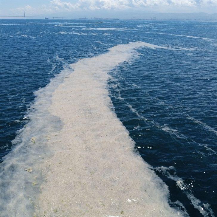 İzmit Körfezi'nde müsilaj etkisini sürdürüyor G5