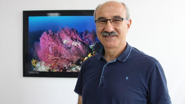 Prof. Dr. Mustafa Sarı, Marmara Denizi'ndeki müsilajın deniz canlılarına verdiği zararı değerlendirdi: