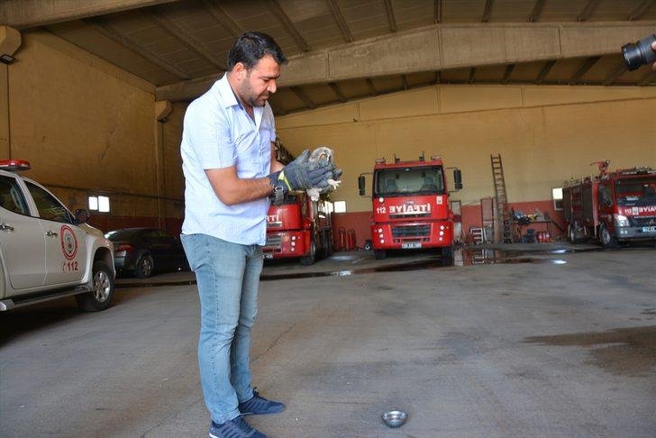 Şanlıurfa'da kulaklı orman baykuşu yavrusu koruma altına alındı G1