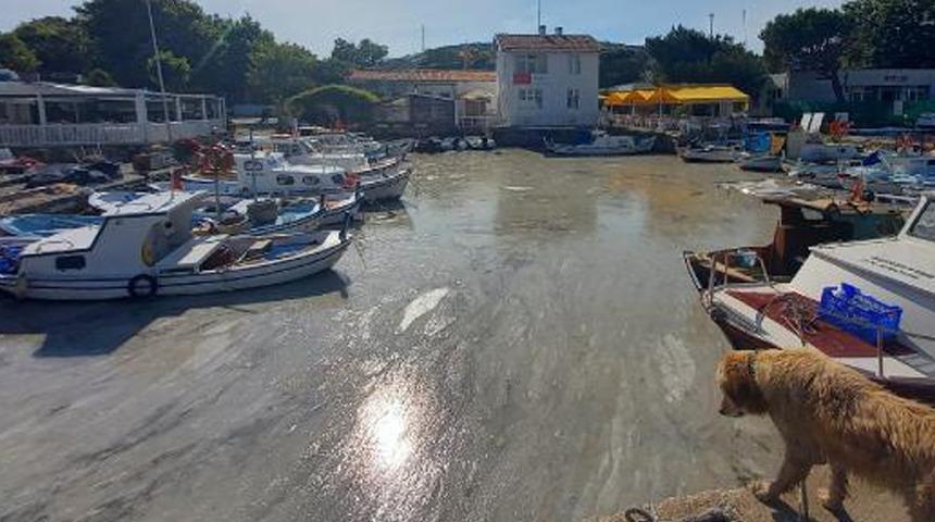 Bozcaada'da tedirgin eden müsilaj görüntüsü