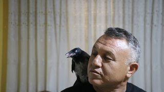 Denizlili sağlık memuru Mehmet Çolak sokakta yaralı bulduğu kargayı evinde tedavi etti