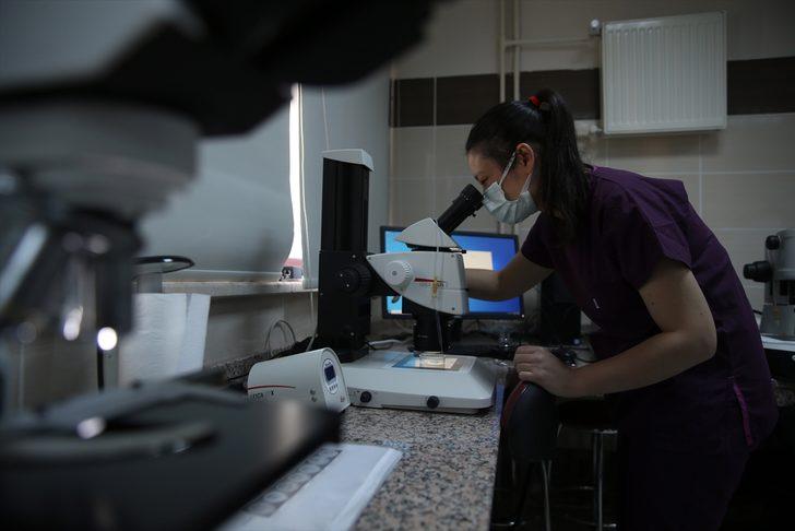 Erzurum'da "embriyo transferi" hem hayvan sayısını hem de kalitesini artıracak G5