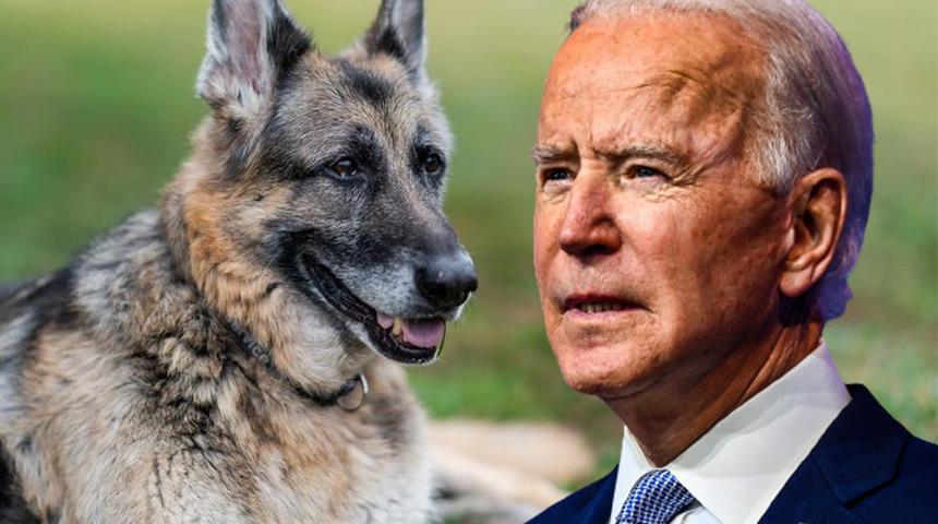 ABD Başkanı Joe Biden'ın k&ouml;peği 'Champ' hayatını kaybetti