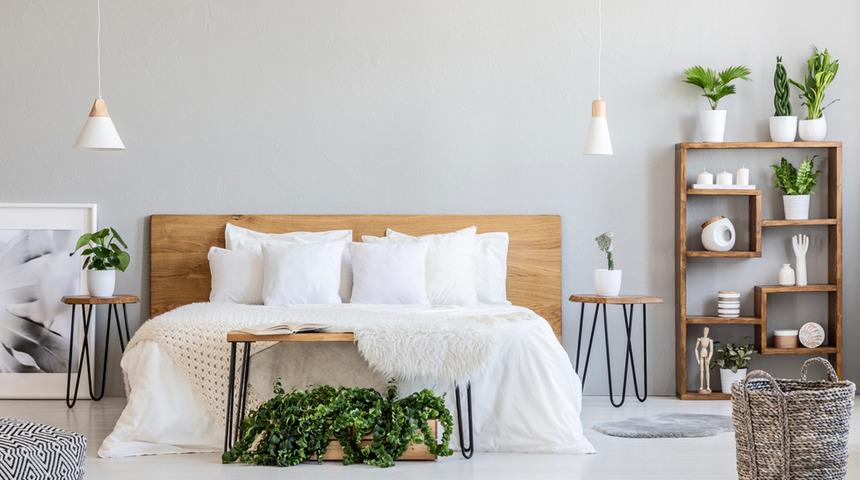 Bilinmeyen gerçek: Yatak odasında bitki bulundurmak zararlı mı? Eğer metrekare başına...