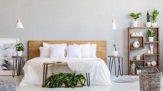 Bilinmeyen gerçek: Yatak odasında bitki bulundurmak zararlı mı? Eğer metrekare başına...