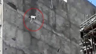 Şanlıurfa'da korkunç görüntü! Yedi katlı binanın çatısında mahsur kalan köpek böyle atladı