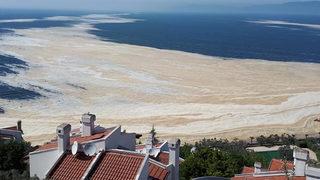 Bakan Kurum'dan deniz salyası (müsilaj) açıklaması