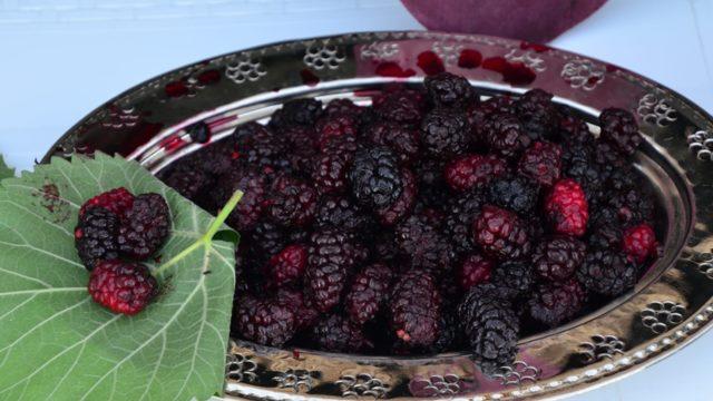 Şifa deposu olarak bilinen Hortum dutu pekmezi artık gramla satılabiliyor 