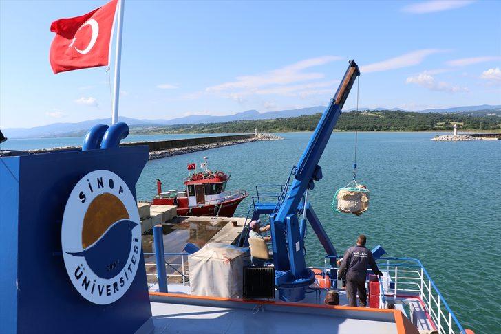 Karadeniz'de azalan midye popülasyonunun artırılması için Sinop'ta üretim tesisi kuruldu G3