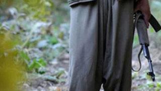 Bitlis'te 2 PKK'lı terörist etkisiz hale getirildi