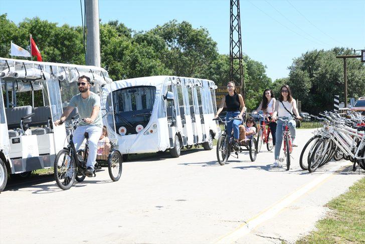 Kızılırmak Deltası Kuş Cenneti'nde ziyaretçiler elektrikli araçlarla çevre dostu gezinti yaptı G2
