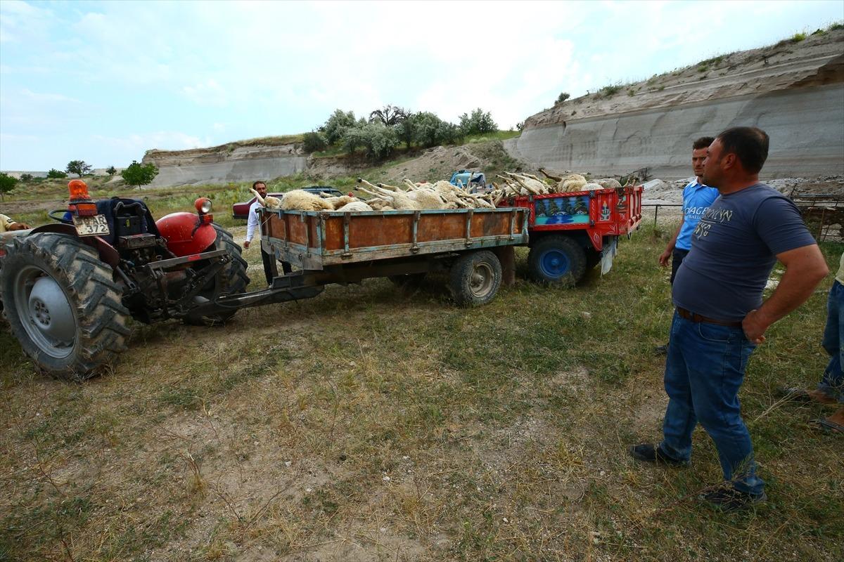 Nevşehir'de tavanı &ccedil;&ouml;ken ağıldaki 58 k&uuml;&ccedil;&uuml;kbaş hayvan telef oldu