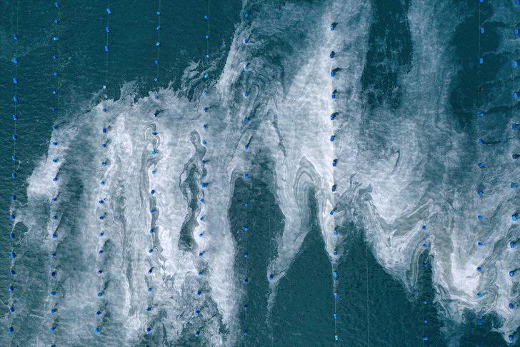 Çanakkale Boğazı'nda müsilaj yoğunluğu sürüyor G1