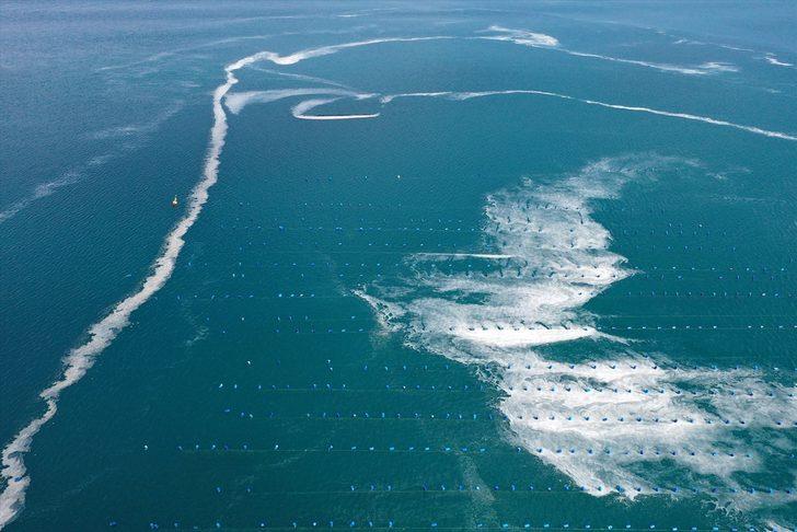 Çanakkale Boğazı'nda müsilaj yoğunluğu sürüyor G4