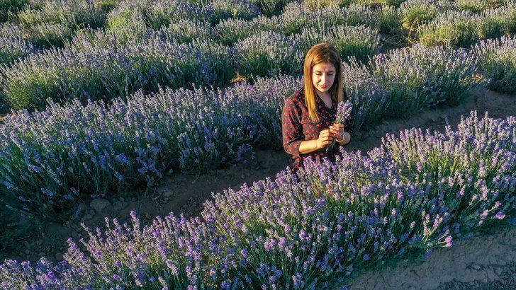 Diyarbakır'da çiftçilere alternatif ürün olarak oluşturulan lavanta bahçeleri görseliyle dikkati çekiyor G4